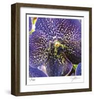 Orchid Square-Ken Bremer-Framed Limited Edition