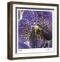 Orchid Square-Ken Bremer-Framed Limited Edition