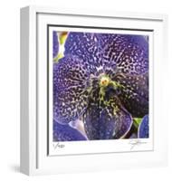 Orchid Square-Ken Bremer-Framed Limited Edition