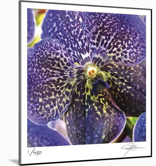 Orchid Square-Ken Bremer-Mounted Limited Edition