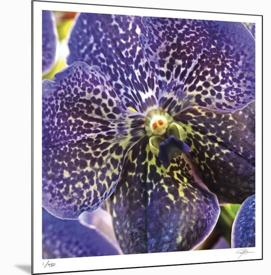 Orchid Square-Ken Bremer-Mounted Limited Edition