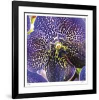 Orchid Square-Ken Bremer-Framed Limited Edition