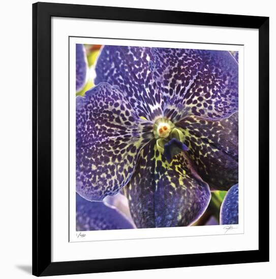 Orchid Square-Ken Bremer-Framed Limited Edition