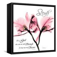 Orchid Strength-Albert Koetsier-Framed Stretched Canvas