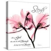 Orchid Strength-Albert Koetsier-Stretched Canvas