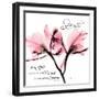 Orchid Strength-Albert Koetsier-Framed Photographic Print