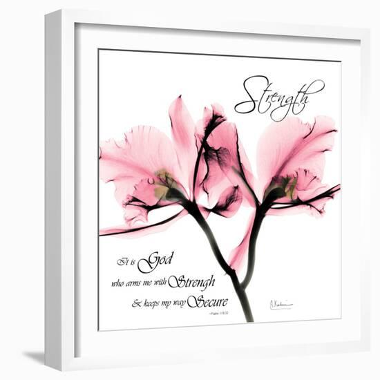 Orchid Strength-Albert Koetsier-Framed Photographic Print