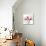 Orchid Strength-Albert Koetsier-Mounted Photographic Print displayed on a wall