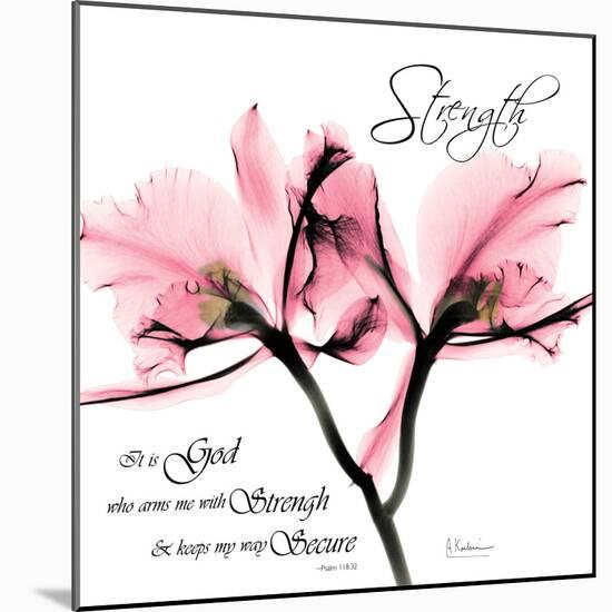 Orchid Strength-Albert Koetsier-Mounted Photographic Print