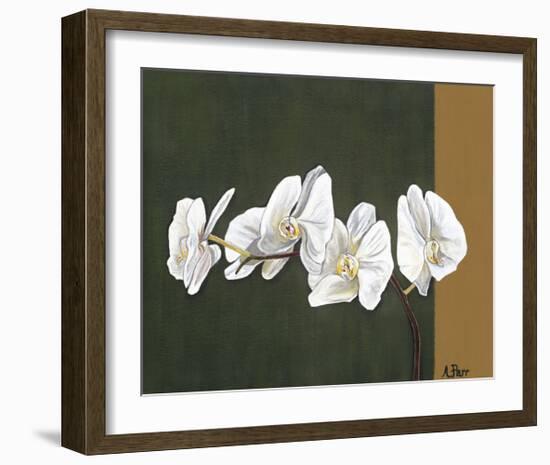 Orchid Study I-Ann Parr-Framed Giclee Print