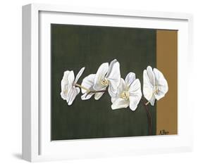 Orchid Study I-Ann Parr-Framed Giclee Print