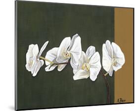 Orchid Study I-Ann Parr-Mounted Giclee Print