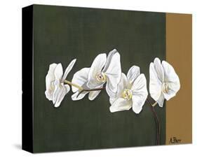 Orchid Study I-Ann Parr-Stretched Canvas