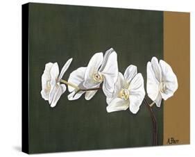 Orchid Study I-Ann Parr-Stretched Canvas