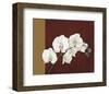 Orchid Study II-Ann Parr-Framed Giclee Print