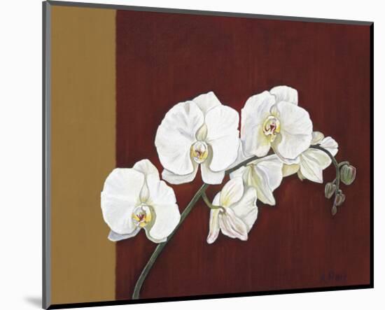 Orchid Study II-Ann Parr-Mounted Giclee Print