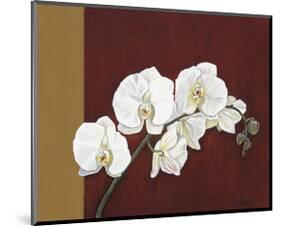 Orchid Study II-Ann Parr-Mounted Giclee Print