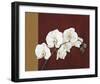 Orchid Study II-Ann Parr-Framed Giclee Print