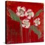 Orchid Study III-Maeve Harris-Stretched Canvas