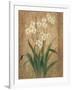 Orchid Study-unknown Chun-Framed Art Print