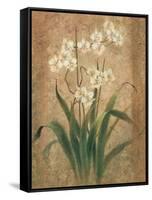 Orchid Study-unknown Chun-Framed Stretched Canvas