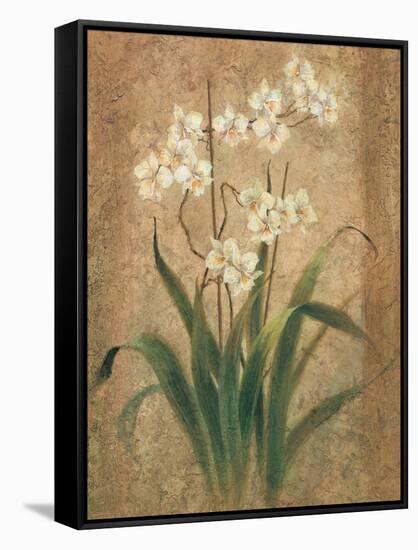 Orchid Study-unknown Chun-Framed Stretched Canvas