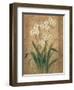 Orchid Study-unknown Chun-Framed Art Print