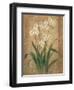 Orchid Study-unknown Chun-Framed Art Print