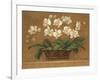 Orchid Tapestry-Pamela Gladding-Framed Art Print