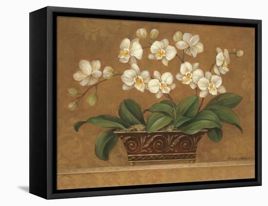 Orchid Tapestry-Pamela Gladding-Framed Stretched Canvas