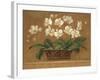 Orchid Tapestry-Pamela Gladding-Framed Art Print