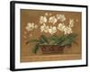 Orchid Tapestry-Pamela Gladding-Framed Art Print