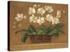 Orchid Tapestry-Pamela Gladding-Stretched Canvas