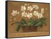 Orchid Tapestry-Pamela Gladding-Framed Stretched Canvas