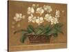 Orchid Tapestry-Pamela Gladding-Stretched Canvas