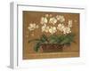 Orchid Tapestry-Pamela Gladding-Framed Art Print