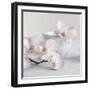 Orchid - Tranquil-Assaf Frank-Framed Giclee Print