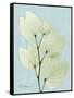Orchid Tree L122-Albert Koetsier-Framed Stretched Canvas