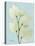 Orchid Tree L122-Albert Koetsier-Stretched Canvas