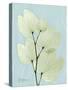 Orchid Tree L122-Albert Koetsier-Stretched Canvas