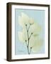 Orchid Tree L122-Albert Koetsier-Framed Art Print