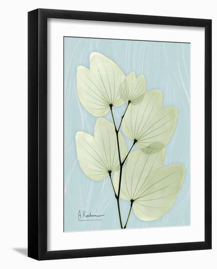 Orchid Tree L122-Albert Koetsier-Framed Art Print