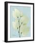 Orchid Tree L122-Albert Koetsier-Framed Art Print