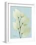 Orchid Tree L122-Albert Koetsier-Framed Art Print