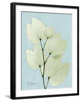 Orchid Tree L122-Albert Koetsier-Framed Art Print