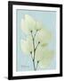 Orchid Tree L122-Albert Koetsier-Framed Art Print