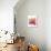 Orchid Tree Pink Orange-Albert Koetsier-Premium Giclee Print displayed on a wall