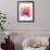 Orchid Tree Pink Orange-Albert Koetsier-Framed Premium Giclee Print displayed on a wall