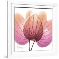 Orchid tree Pink-Albert Koetsier-Framed Premium Giclee Print