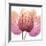 Orchid tree Pink-Albert Koetsier-Framed Premium Giclee Print